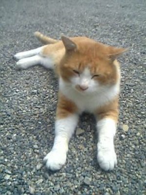 20090504-03.JPG