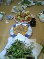 20090513-03.JPG
