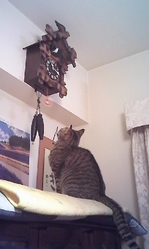 20101122-00.JPG