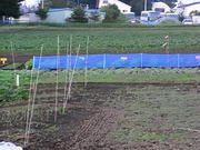 20090618-00.JPG