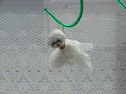 20090713-00.JPG