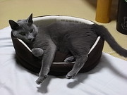20101011-00.JPG