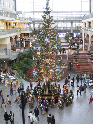 20051224-02.JPG