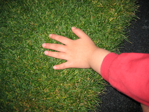 20071118-04.JPG