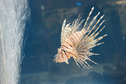 20080810-05.JPG