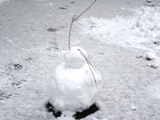 20081122-01.jpg