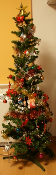 20081213-01.JPG