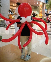 20100808-01.jpg