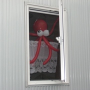 20100808-02.jpg
