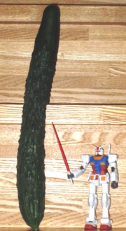 20100808-03.jpg