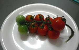 20100825-01.jpg