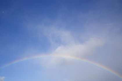 20101009-01.jpg