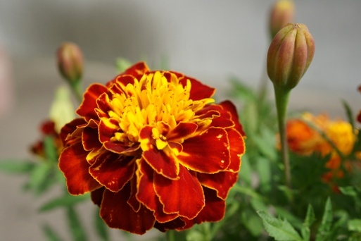 20110723-00.JPG