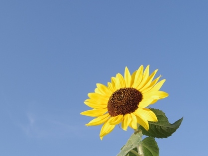 20120915-00.JPG