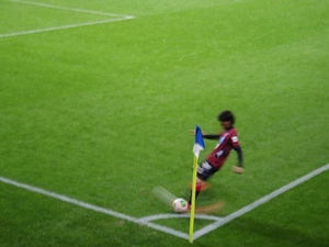 1365926249-IMGP0985.JPG
