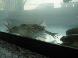 20070719-00.JPG