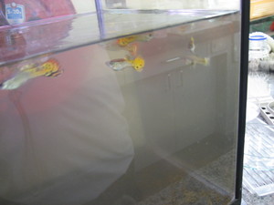 20070719-04.JPG