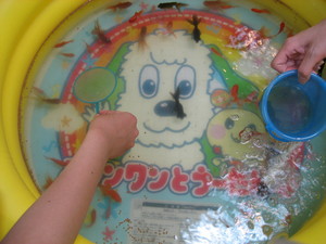 20070722-01.JPG
