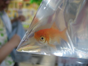 20070722-02.JPG