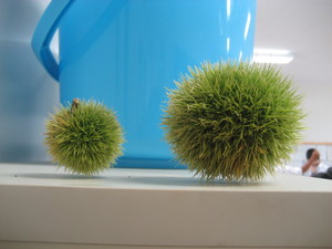 20070914-00.JPG