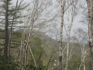 20080508-01.JPG