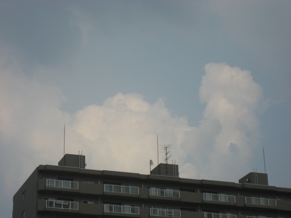 20090626-04.JPG