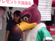 ｳﾞｪﾙﾃﾞｨ君