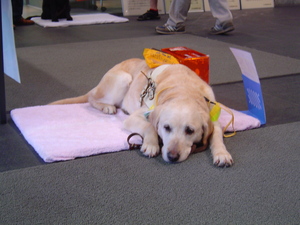 20070628-01.JPG