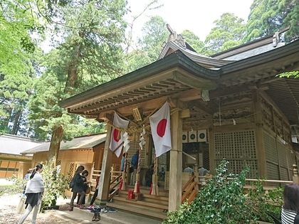 1526030931-DSC_1443.JPG