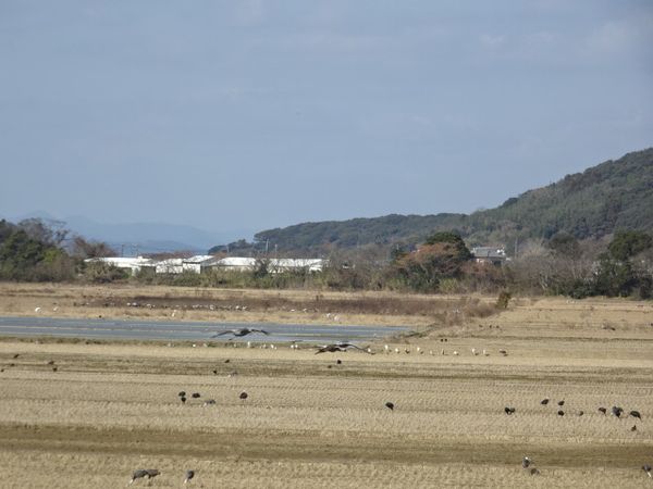 DSC00366.JPG