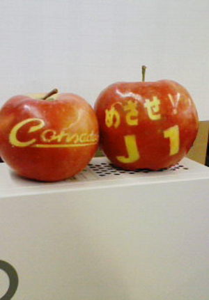 apples