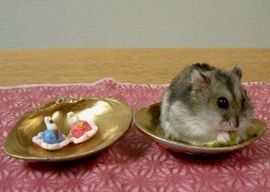 20080303-04.JPG