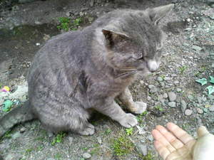 20080423-01.jpg