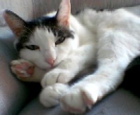 20080427-00.jpg