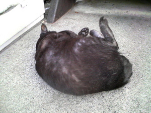 20080606-00.jpg