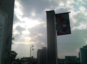 20080610-03.jpg