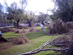 20080628-02.jpg