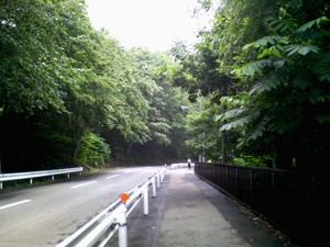 20080720-02.jpg