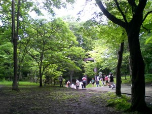 20080720-05.jpg