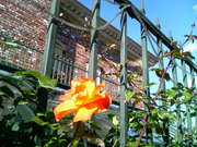 20081014-00.jpg