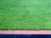 20081015-01.jpg