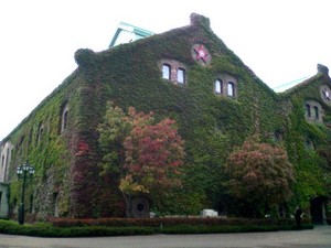 20081018-01.jpg