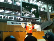 20081018-03.jpg
