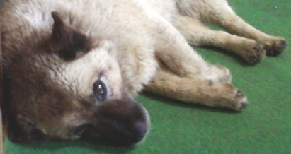 20081021-00.jpg
