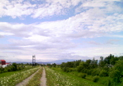 20081105-05.jpg