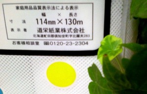 20081111-03.jpg