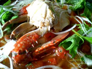 20081116-03.jpg