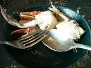 20081116-05.jpg