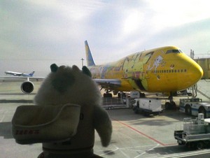 20081125-01.jpg
