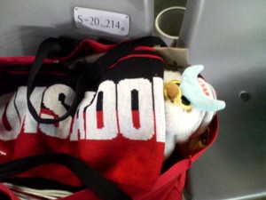 20081128-08.jpg